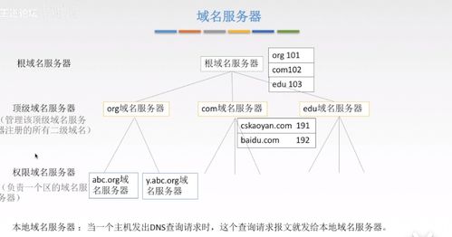 王道考研计算机网络专题 应用层核心协议与服务模型