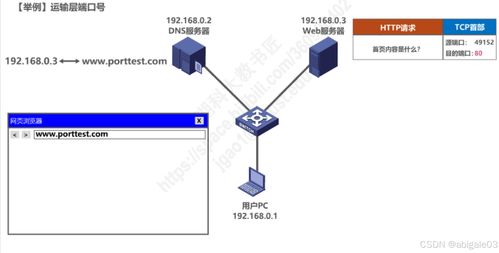 计算机网络微课堂 运输层与网络服务解析